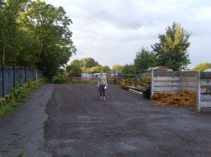 Very empty allotment