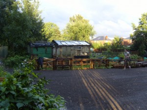 Allotment
