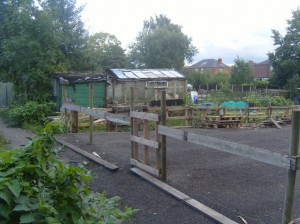 Pallet fence