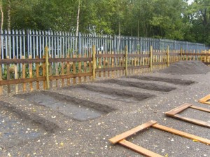 Start of the raised beds