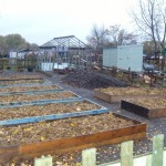 Raised beds