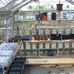 Greenhouse potting