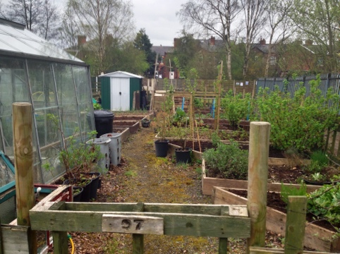 Compost heaven
